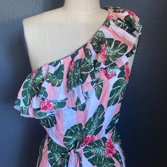 SOLD💔LOVERS AND FRIENDS Amity Mini Dress in Pink Palm Stripe - Picture 3 of 5